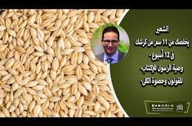 الشعير يخلصك من ١١ سم من كرشك فى ١٢ أسبوع وصية الرسول للإكتئاب للقولون وحصوة الكلى طريقة التحضير Youtube Kioa Food Breakfast