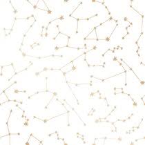 You can also upload and share your favorite constellations wallpapers. Constellation Wallpaper You Ll Love In 2021 Wayfair