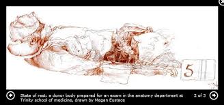 Apertures & Anxieties: Artists Celebrate 300 Years of Trinity's School of  Medicine