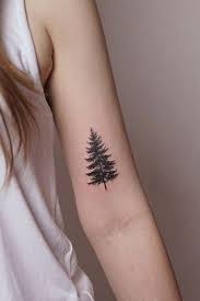 • • • #koreanpinetree #pinetrees #conifers #pinenuts. 35 Exquisite Tattoos On The Tree Of Life Exquisite Tree Tattoos Tattoos Pine Tattoo Tattoos For Women