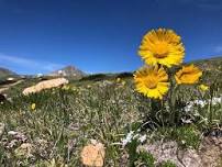 Open house for the Mountain Research Station & INSTAAR