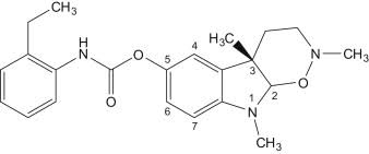 Image result for Cryptolepis obtusa