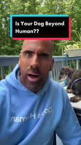 Is Your Dog Beyond Human? #dogsrule #dogishuman #vettok #dachshundsoftiktok  #dogparents #dogsoulmate #dachshundfamily