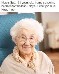 We'll look at homeschool memes about socialization, and homeschooling life in general. 60 Absolutely Hilarious Homeschool Memes Jokes Cartoons For Moms