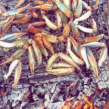 Ayi Yemegi Adli Kullanicinin Camping Panosundaki Pin 2020 Bushcraft Survival Kamp