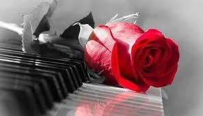 Roses are not only beautiful as cut flowers or when used in arrangements, roses are very useful and attractive plants and flowers when used in presidents may change but the white house rose garden lives on. Natural Beautiful Flower Roses Home Facebook