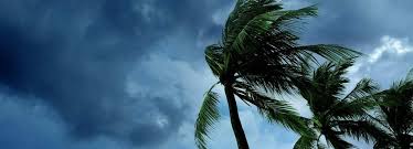 Hurricane insurance is made up of a combination of a few insurance coverages. Hurricane Insurance Find Coverage Today Trusted Choice