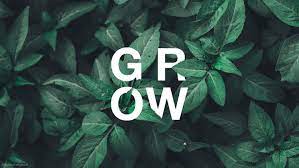 Follow the vibe and change your wallpaper every day! Green Aesthetic Tumblr Laptop Wallpapers Top Free Green Aesthetic Tumblr Laptop Backgrounds Wallpaperaccess