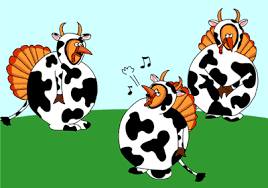 14 what is a female girl? 10 Wacky Questions Asked During Cat Interviews