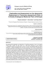 Image result for Loxogramme abyssinica