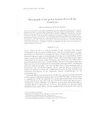 Image result for Leonotis myrothamnifolia