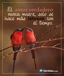 I Pinimg Com 236x 1e D3 8d 1ed38d178b698e80759b