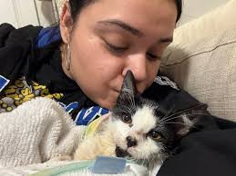 Sad to say goodbye to our beloved Warlock