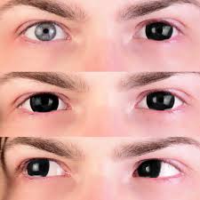 Image result for black sclera contacts