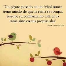 Confianza En Uno Mismo Elegir Ser Feliz Confianza Noche De Letras