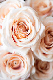 Check spelling or type a new query. Pin On Flower Background