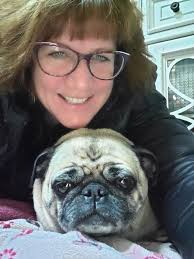 My name is: Louis Puggon aka "Louie P" My breed is: Pug My age is: 1 year  My nickname: Louis My favorite human: Dad for sure! My favorite human food  is: Anything