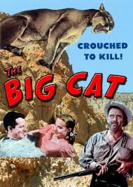 Only true fans will be able to answer all 50 halloween trivia questions correctly. The Big Cat 1949 Imdb