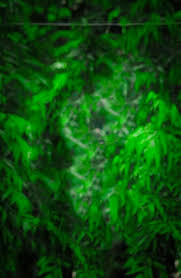 Pin By Lakhan Sonune On Background Blur Background Photography Blurred Background Photography Photoshop Digital Background