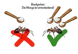 Da es ebenfalls alkalisch ist, können sie davon ausgehen, dass es die ameisen eher abschreckt als anzieht. Ameisen In Der Kuche Ursachen Und Massnahmen