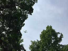 Er sah vor schottlands küste die silhouette eines flugzeugs im meer. Bruhler Garten Erfurt Flugzeug Dank Dem Flughafen Picture Of Bruehler Garten Erfurt Tripadvisor