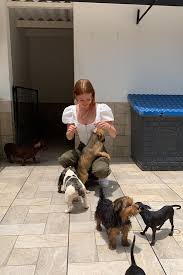 O instituto luisa mell resgatou mais de 50 animais que viviam em condições insalubres na casa de ela explicou que resgatou 50 gatos e 13 cachorros e que não pôde levar todos que estavam na casa. Marina Ruy Barbosa Visita Instituto Luisa Mell Super Radio Tupi