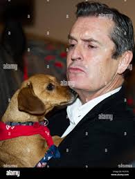 Rupert everett hi-res stock photography and images