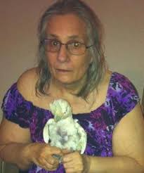 Cynthia Lee Rowe Obituary (2023)