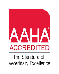 You will have a significant role in communicating with our guest and you will need to keep our doctors updated about the pet and any concerns the guest may have… Highland Pointe Animal Hospital 972 317 9310