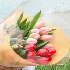 チューリップの花 エキゾチックな花 素晴らしい花 色とりどりの花 赤い花 美しい花 フラワーアレンジメント 庭園. ç„¡è¾²è–¬æ ½åŸ¹ã®ã‚«ãƒ©ãƒãƒªè±Šå¯Œãªãƒãƒ¥ãƒ¼ãƒªãƒƒãƒ— æŸ30æœ¬