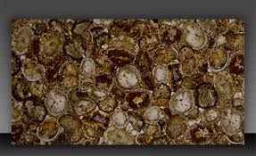 Po box 6975 kingman, az 86402. Black Petrified Wood Slab The Davani Group