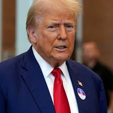 Trump drubs Biden in meme coins