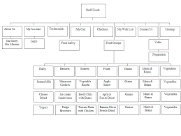 Organizational Chart Sm Specialties Inc