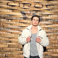 Now we don't have any guinea pigs!. Jake T Austin Wikipedia