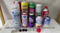 Custom Spray Paint Can 65*158mm 450ML 500ML Aerosol Spray Can with Male and  Female Spray Valve