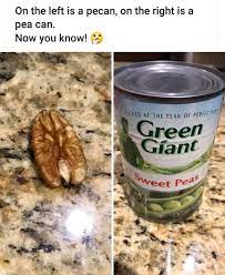 Pecan Or Pea Can Pecan Funny Memes Funny