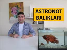 Astronot Oscar Baliklari Astronot Balik