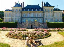 Moi je vais vous le dire ! Chateau De Saint Jean De Beauregard Tourisme Avec Mon Chien