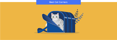 A good backpack carrier also has several compartments for pet items, such as treats and. 12 Best Cat Carriers For 2021 Unbiased Review We Re All About Cats