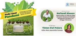 Khusus buat anda yang tidak memungkinkan lagi untuk berkebun di tanah atau di pekarangan rumah dan lahan sempit, anda bisa berkebun dengan memanfaatkan lantai dua rumah anda untuk menanam. Agromedia Memanfaatkan Pekarangan Rumah Menjadi Kebun Sayuran Agromedia