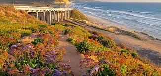 Maybe you would like to learn more about one of these? The Best California State Parks Near San Diego