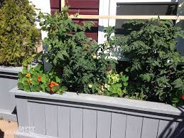 We did not find results for: Patio Vegetable Garden Setup And Tips To Get Growing