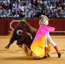 Pin De Gnd En Matadore Toros Y Toreros Toros Bravos Torera
