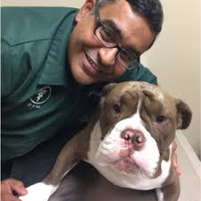 Parker Animal & Bird Clinic