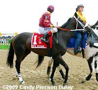 2009 Preakness Field