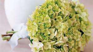 However, hydrangea flowers can last well through summer and fall, all the way until winter comes and knocks their petals to the ground. How To Grow And Arrange A Hydrangea Wedding Bouquet Sunset Magazine