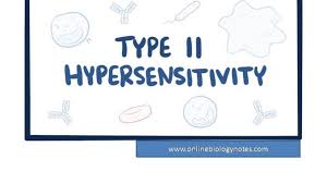 Type Ii Hypersensitivity Reaction Mechanism And Examples