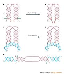 Image result for Integrase Strand Transfer Inhibitor