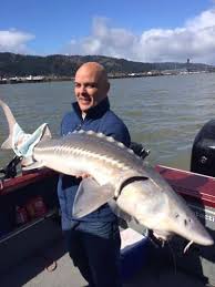 Columbia river circuit, yakima, washington. Willamette River Sturgeon Fishing Best Fishing In America