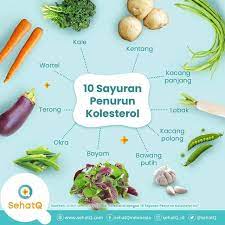 We did not find results for: Sayuran Penurun Kolesterol Adalah Pilihan Tepat Bagi Yang Sedang Mencari Obat Alami Kolesterol Tinggi Sebab Tingginya Kadar Obat Alami Sayuran Kacang Polong